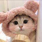 小康